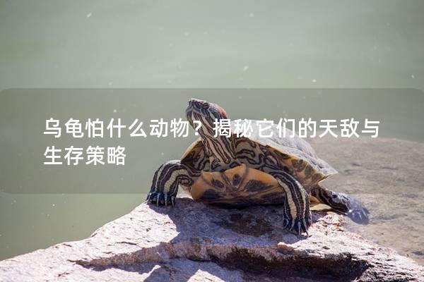 乌龟怕什么动物？揭秘它们的天敌与生存策略