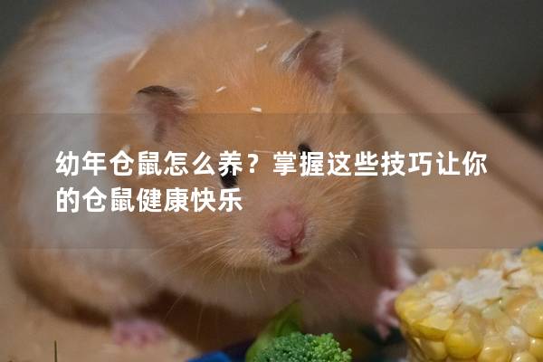 幼年仓鼠怎么养？掌握这些技巧让你的仓鼠健康快乐