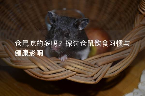 仓鼠吃的多吗？探讨仓鼠饮食习惯与健康影响