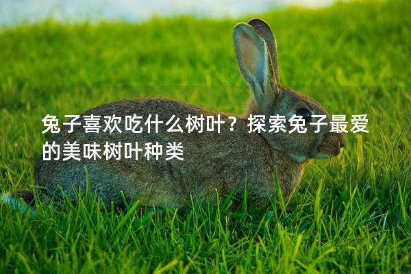 兔子喜欢吃什么树叶？探索兔子最爱的美味树叶种类