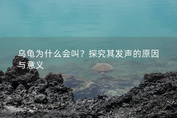 乌龟为什么会叫？探究其发声的原因与意义
