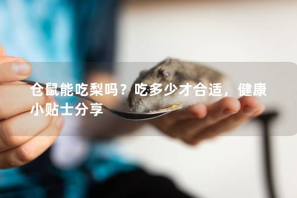 仓鼠能吃梨吗？吃多少才合适，健康小贴士分享