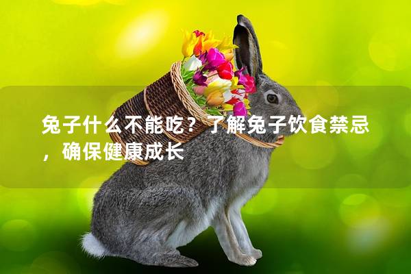 兔子什么不能吃？了解兔子饮食禁忌，确保健康成长