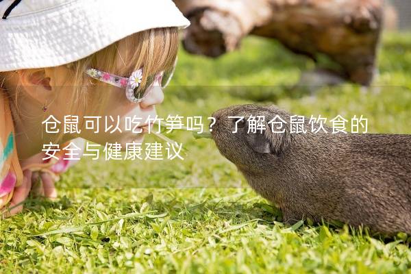 仓鼠可以吃竹笋吗？了解仓鼠饮食的安全与健康建议