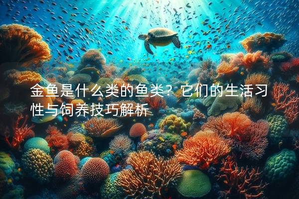 金鱼是什么类的鱼类？它们的生活习性与饲养技巧解析