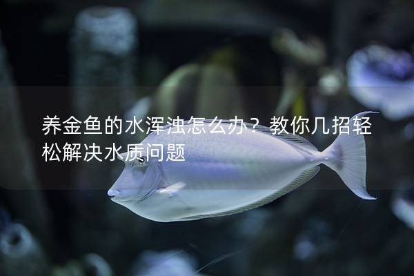 养金鱼的水浑浊怎么办？教你几招轻松解决水质问题