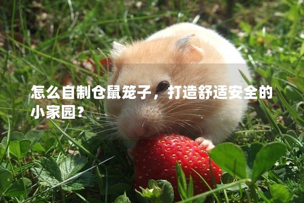 怎么自制仓鼠笼子，打造舒适安全的小家园？