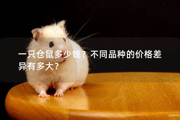 一只仓鼠多少钱？不同品种的价格差异有多大？