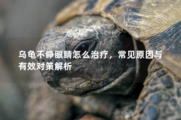 乌龟不睁眼睛怎么治疗，常见原因与有效对策解析