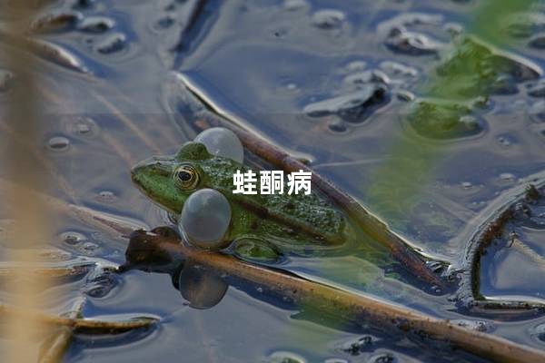 蛙酮病