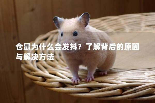 仓鼠为什么会发抖？了解背后的原因与解决方法