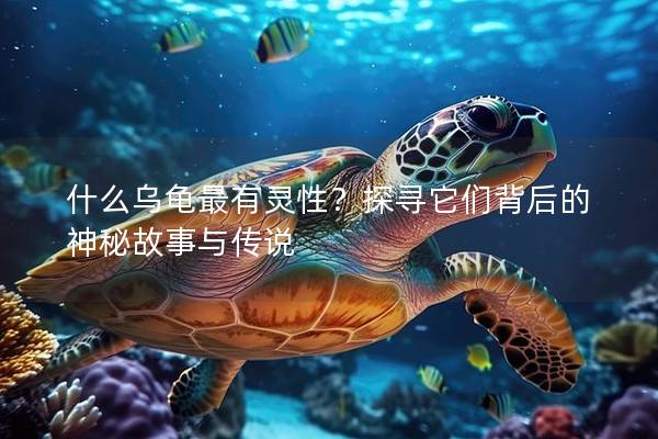 什么乌龟最有灵性？探寻它们背后的神秘故事与传说