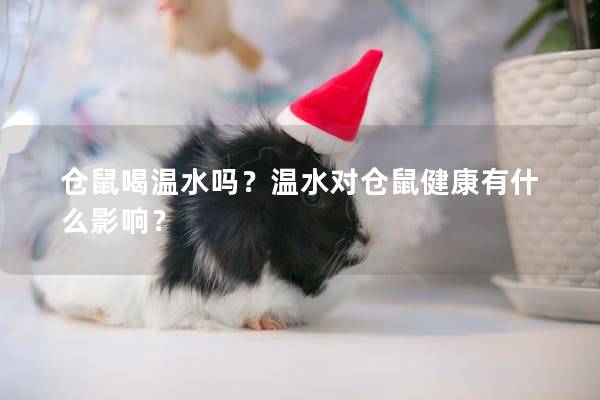仓鼠喝温水吗？温水对仓鼠健康有什么影响？