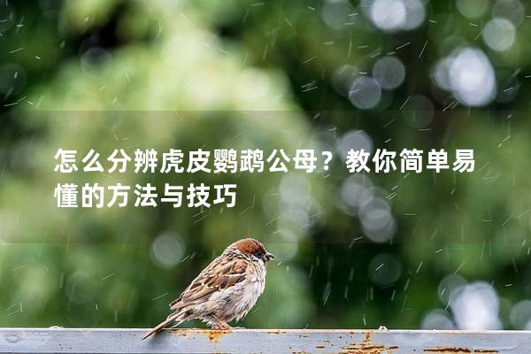 怎么分辨虎皮鹦鹉公母？教你简单易懂的方法与技巧