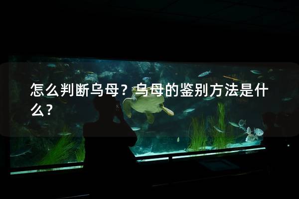 怎么判断乌母？乌母的鉴别方法是什么？