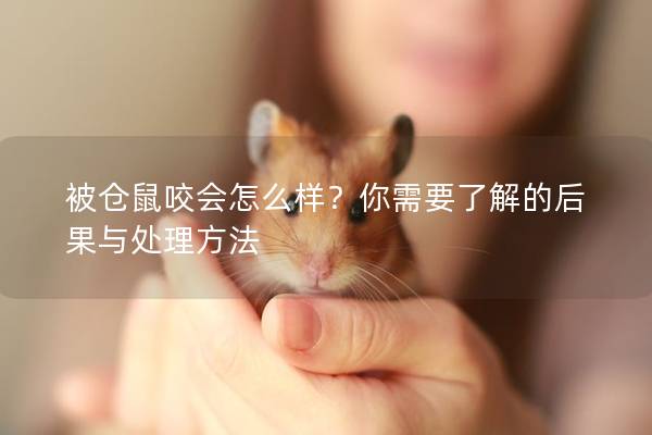 被仓鼠咬会怎么样？你需要了解的后果与处理方法