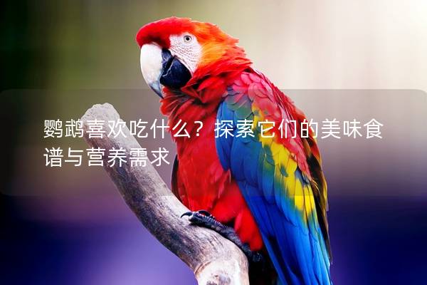 鹦鹉喜欢吃什么？探索它们的美味食谱与营养需求