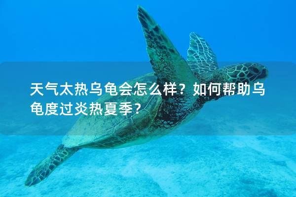 天气太热乌龟会怎么样？如何帮助乌龟度过炎热夏季？