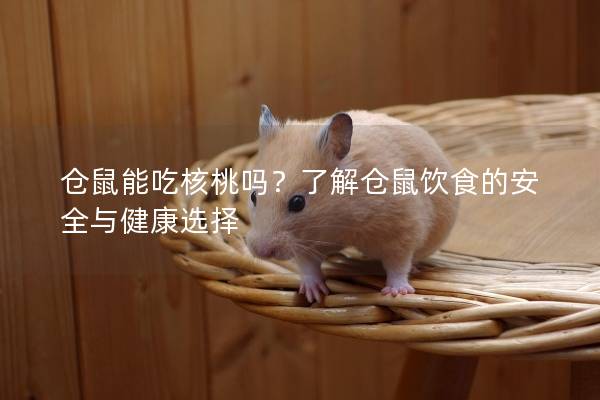 仓鼠能吃核桃吗？了解仓鼠饮食的安全与健康选择