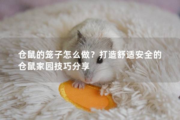 仓鼠的笼子怎么做？打造舒适安全的仓鼠家园技巧分享