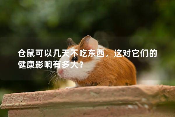 仓鼠可以几天不吃东西，这对它们的健康影响有多大？