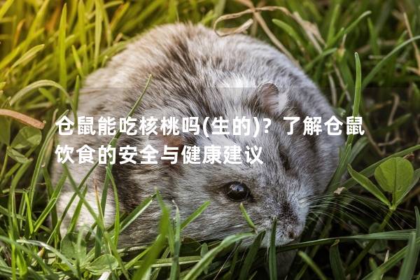 仓鼠能吃核桃吗(生的)？了解仓鼠饮食的安全与健康建议