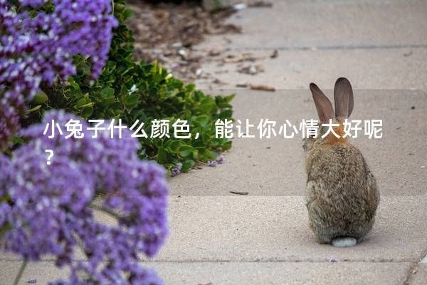 小兔子什么颜色，能让你心情大好呢？