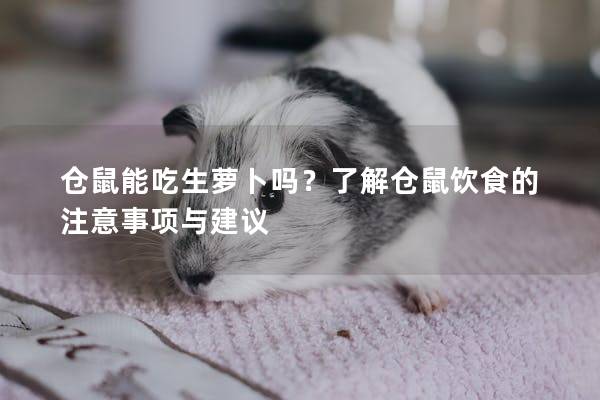 仓鼠能吃生萝卜吗？了解仓鼠饮食的注意事项与建议