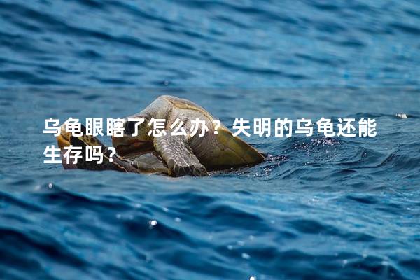 乌龟眼瞎了怎么办？失明的乌龟还能生存吗？