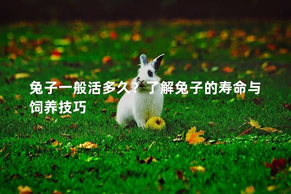 兔子一般活多久？了解兔子的寿命与饲养技巧