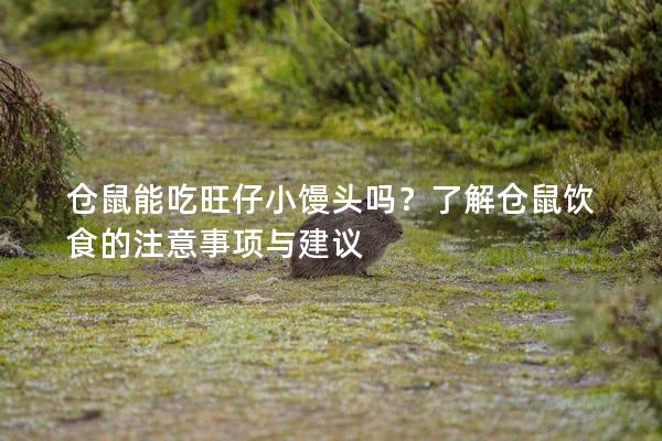 仓鼠能吃旺仔小馒头吗？了解仓鼠饮食的注意事项与建议