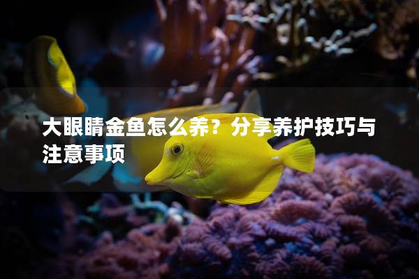 大眼睛金鱼怎么养？分享养护技巧与注意事项