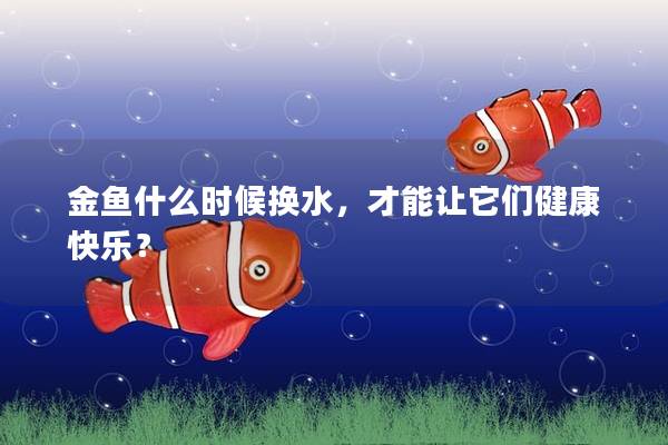 金鱼什么时候换水，才能让它们健康快乐？
