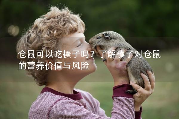 仓鼠可以吃榛子吗？了解榛子对仓鼠的营养价值与风险