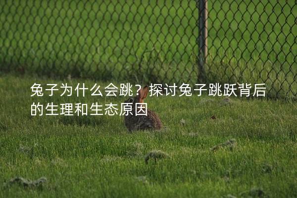 兔子为什么会跳？探讨兔子跳跃背后的生理和生态原因