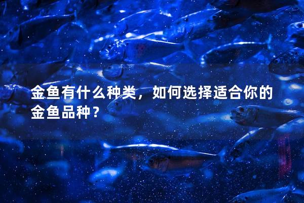 金鱼有什么种类，如何选择适合你的金鱼品种？