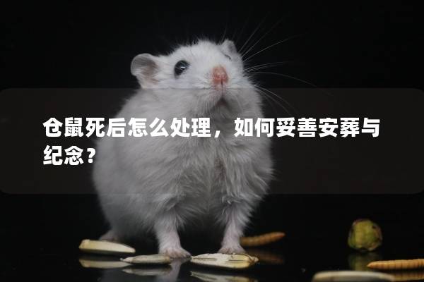 仓鼠死后怎么处理，如何妥善安葬与纪念？