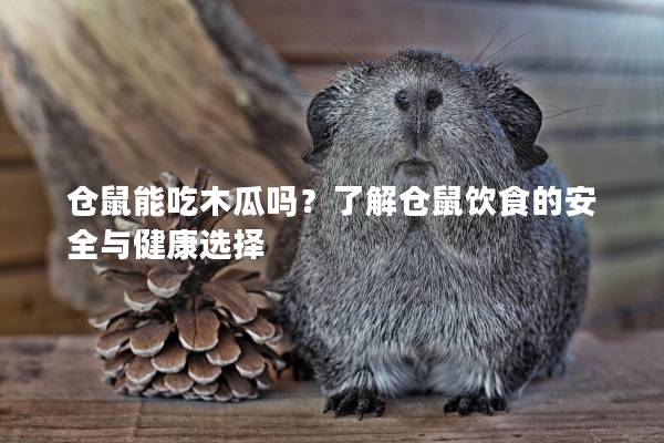 仓鼠能吃木瓜吗？了解仓鼠饮食的安全与健康选择