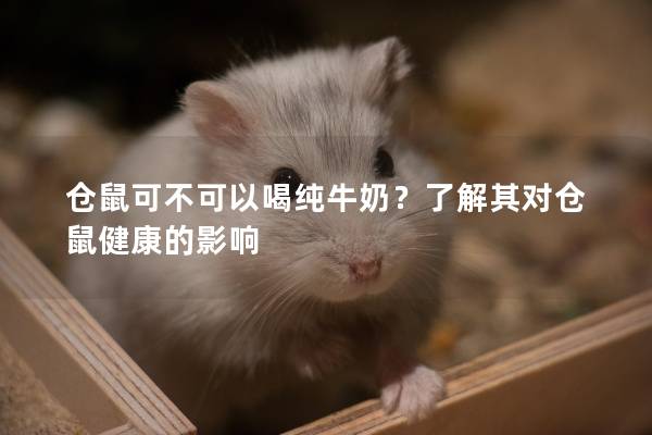 仓鼠可不可以喝纯牛奶？了解其对仓鼠健康的影响