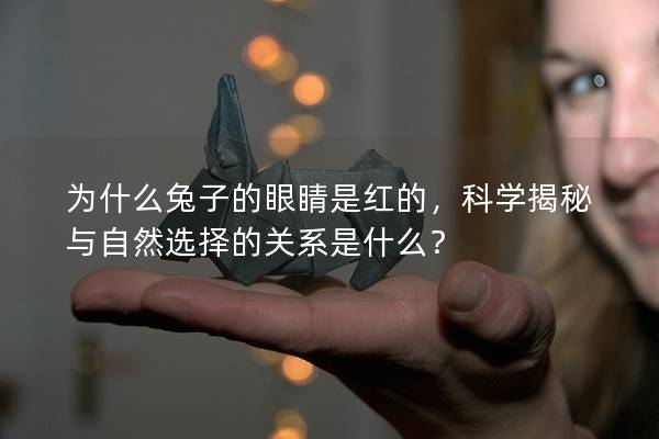 为什么兔子的眼睛是红的，科学揭秘与自然选择的关系是什么？
