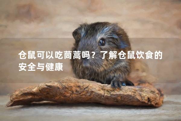 仓鼠可以吃茼蒿吗？了解仓鼠饮食的安全与健康