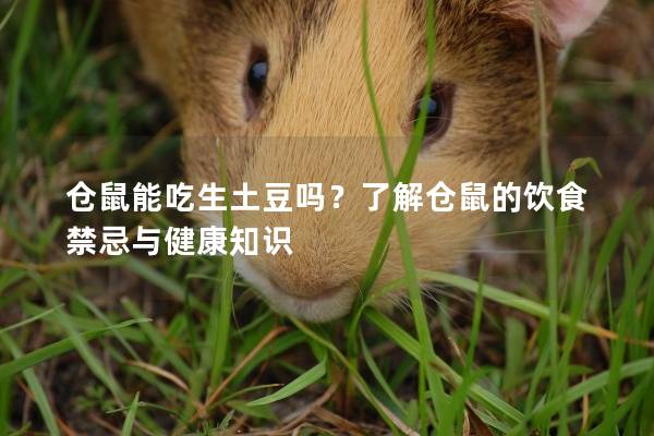 仓鼠能吃生土豆吗？了解仓鼠的饮食禁忌与健康知识