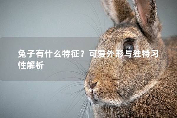 兔子有什么特征？可爱外形与独特习性解析