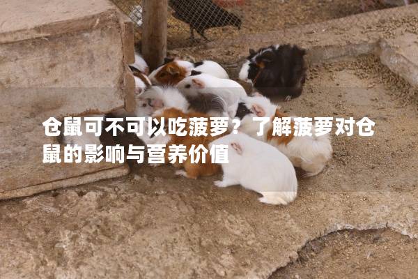 仓鼠可不可以吃菠萝？了解菠萝对仓鼠的影响与营养价值