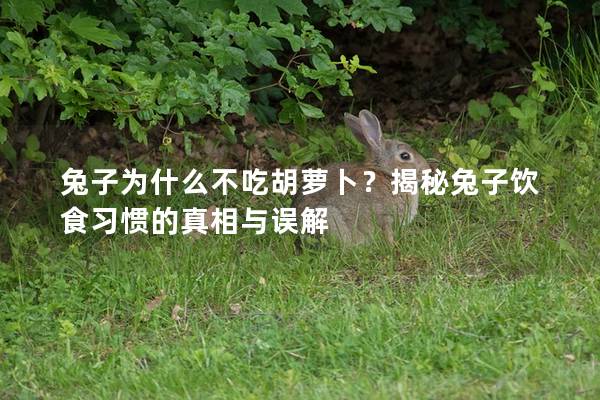 兔子为什么不吃胡萝卜？揭秘兔子饮食习惯的真相与误解