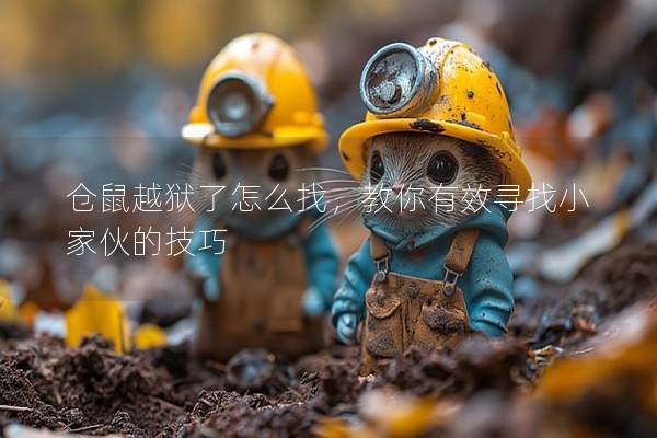 仓鼠越狱了怎么找，教你有效寻找小家伙的技巧