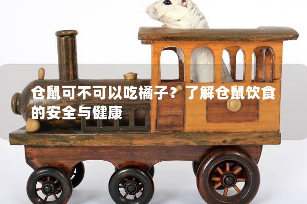 仓鼠可不可以吃橘子？了解仓鼠饮食的安全与健康