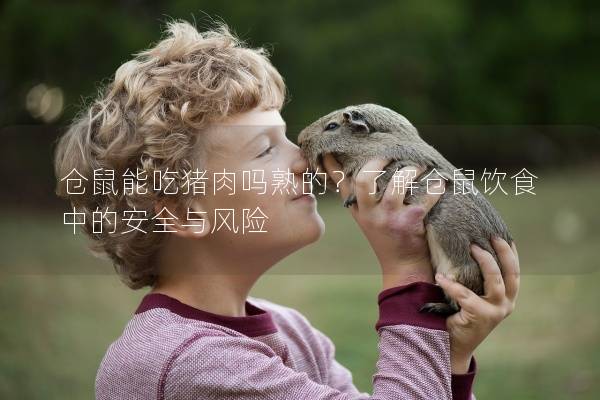 仓鼠能吃猪肉吗熟的？了解仓鼠饮食中的安全与风险