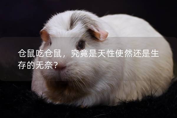 仓鼠吃仓鼠，究竟是天性使然还是生存的无奈？