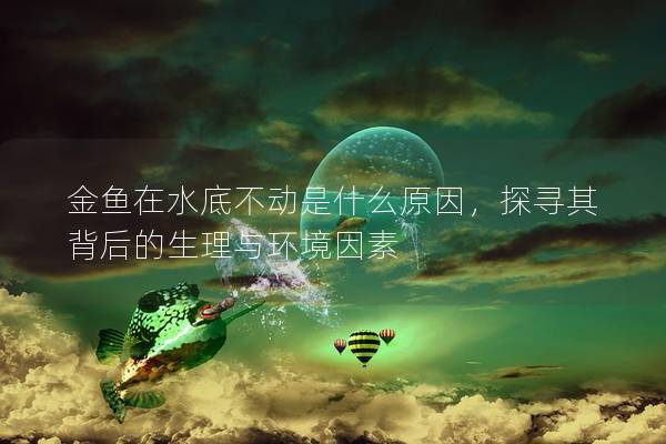 金鱼在水底不动是什么原因，探寻其背后的生理与环境因素